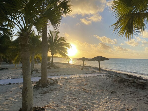 Una playa con palmeras, un atardecer y dos sombrillas de playa.