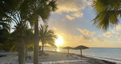 Spectacular Beachfront Ultra Luxury Villa Stella Maris-Introductory Sale!