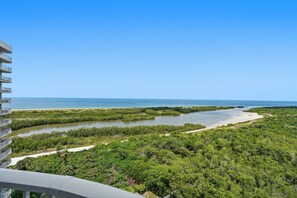 A coastal landscape with dense greenery, a river, and a clear blue sky. - Spectacular Gulf of America beach front condo with unforgettable views (Marco Island)