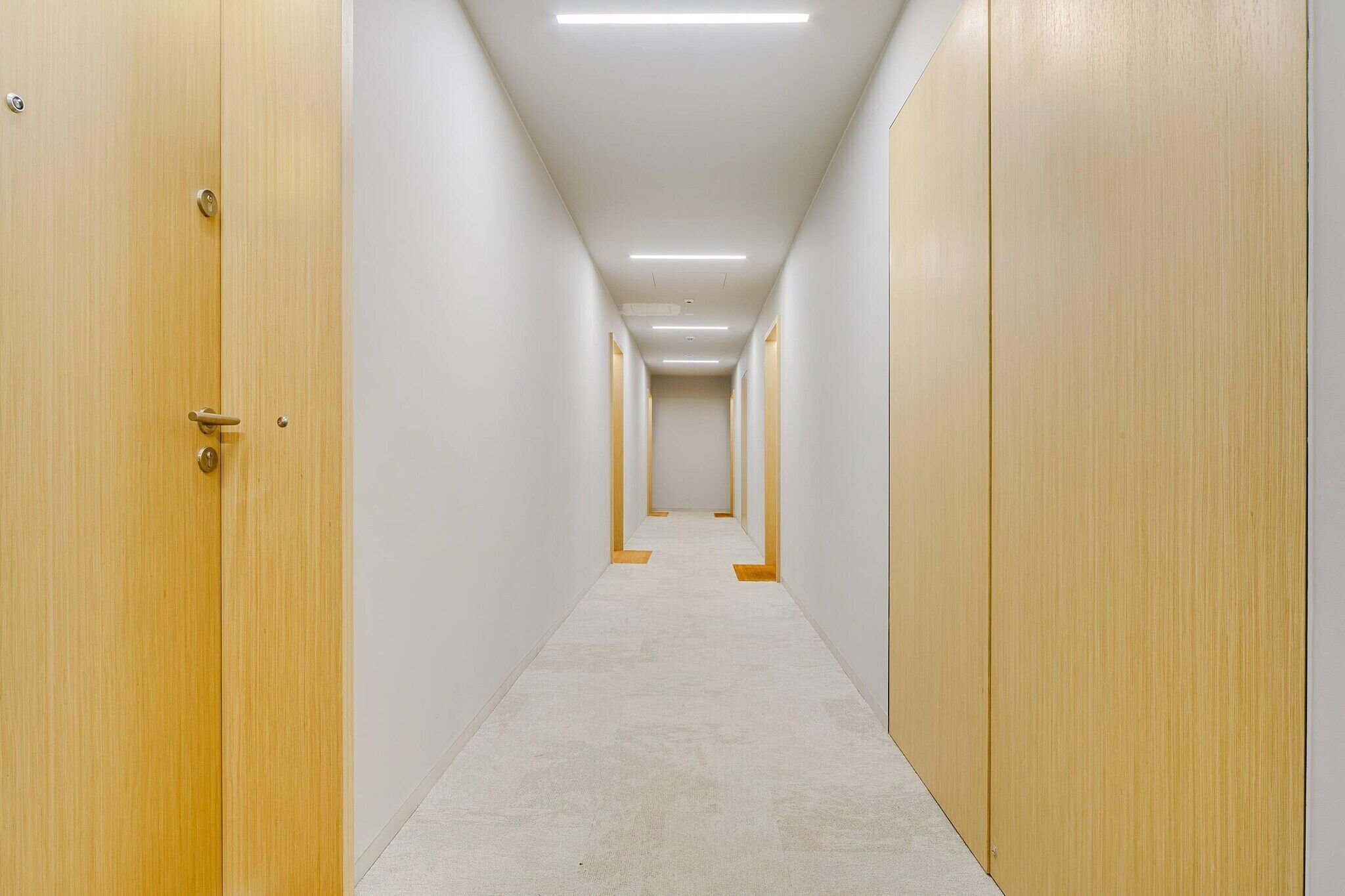 Un pasillo largo y estrecho con puertas de madera a ambos lados y piso cubierto de alfombra.