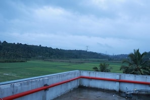 Property grounds - MASBAH RESIDENCY (Mananthavady)