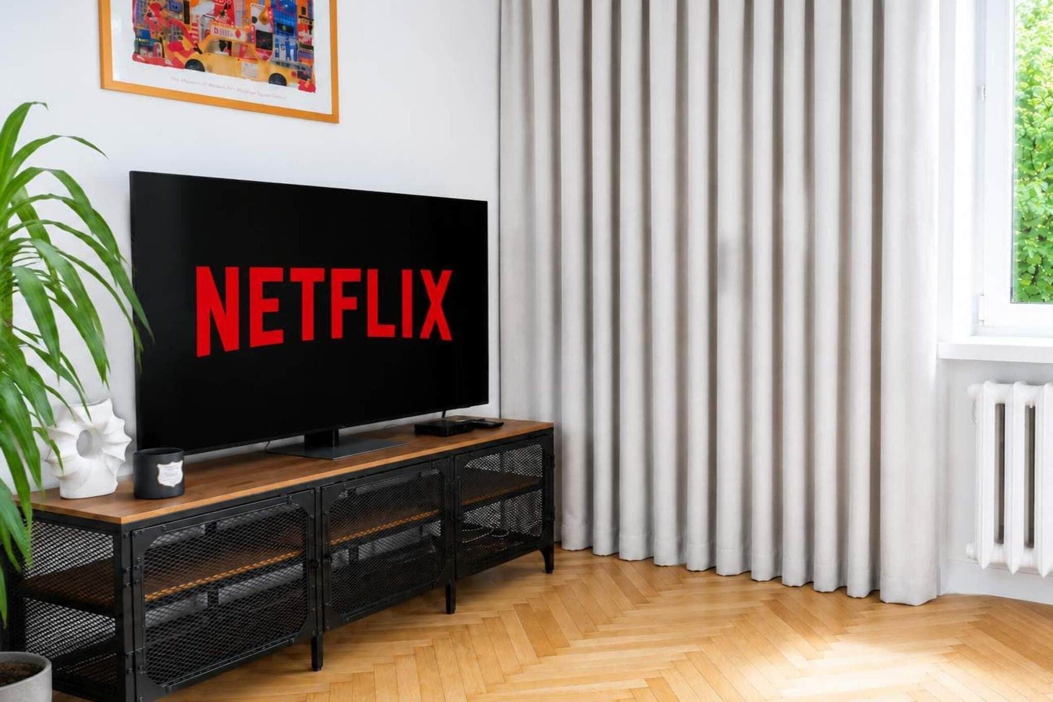 Ein Zimmer mit einem großen Flachbildfernseher auf einem Holzständer, einer Topfpflanze, einem Heizkörper und einem Fenster mit Vorhängen.