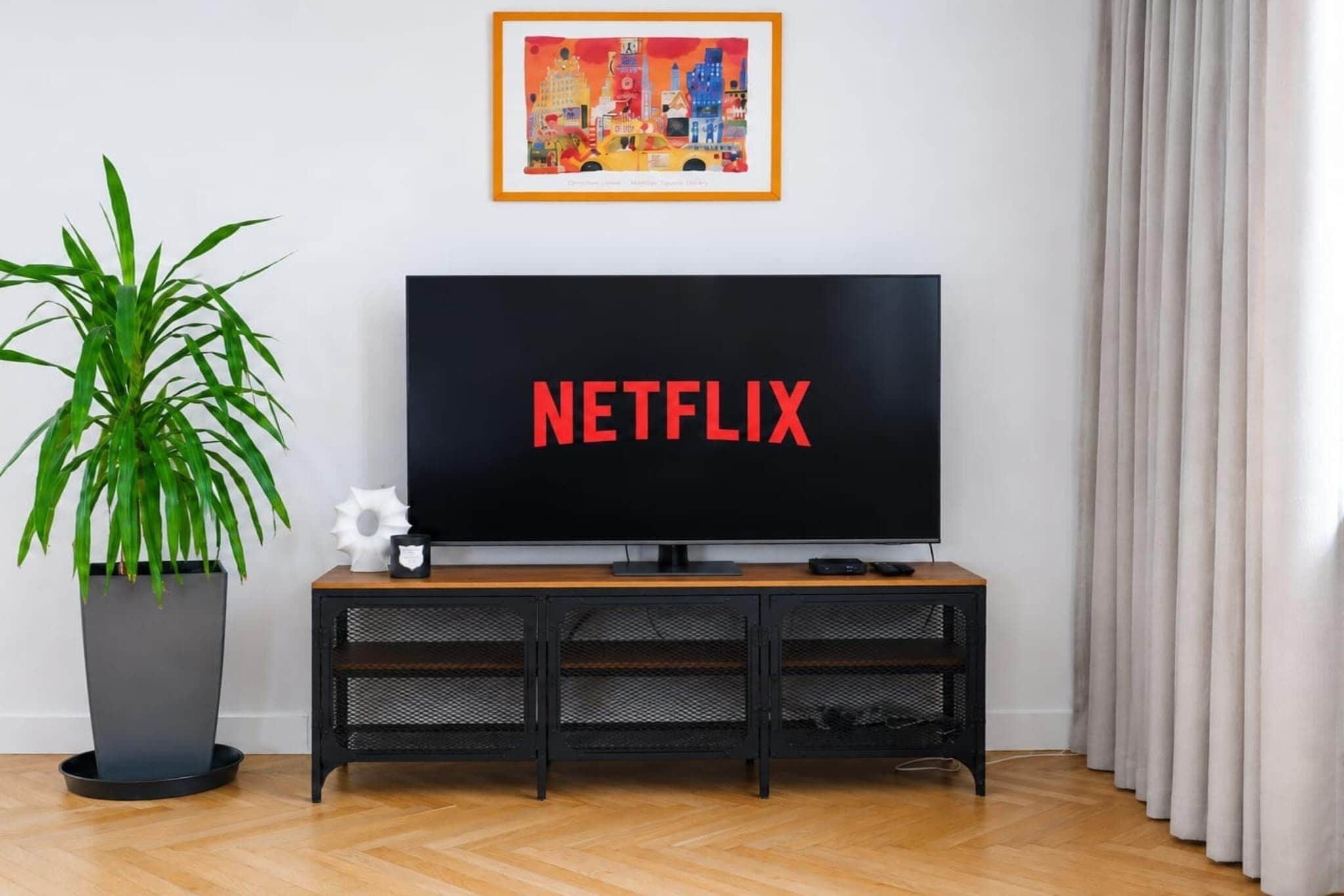 Un salon avec un téléviseur affichant le logo « NETFLIX » à l’écran, une plante en pot et un tableau encadré au mur.