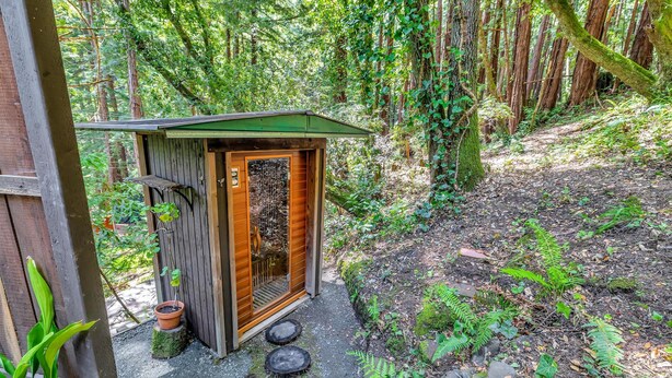 A small wooden structure with a door, a window, and a step leading to it.