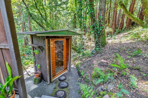 Redwood Treehouse Retreat in Loma Mar Redwoods