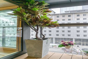 A potted plant with a twisted trunk and broad leaves in a concrete planter on a balcony with a view of a cityscape. - City Apartment with Balcony (Warszawa)