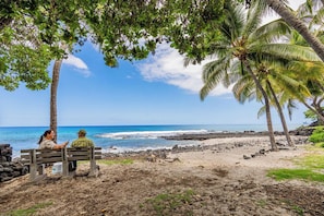 A beach scene with a wooden bench, palm trees, and the ocean.