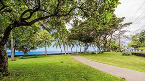 A grassy pathway leading to a bench, with trees and a view of the ocean. - Newly Renovated Oceanfront Condo at Magic Sands Beach (Kailua-Kona)