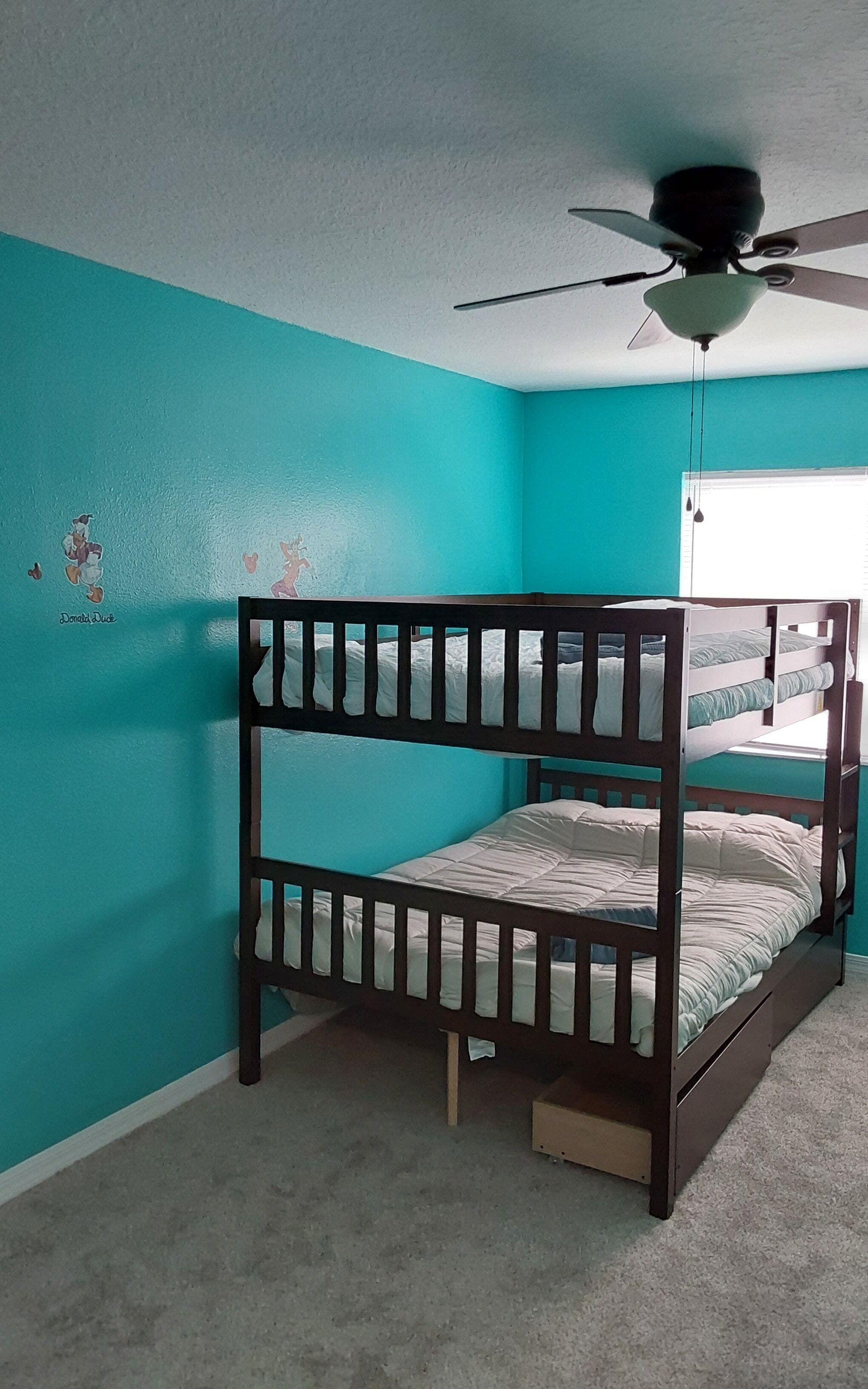 A bunk bed in a room with teal walls, a ceiling fan, and a window with blinds.