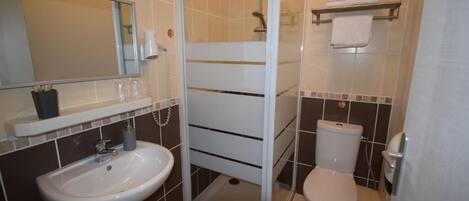 A bathroom with a shower enclosure, a sink, a toilet, and a mirror.