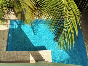 Ein Schwimmbecken mit klarem, blauem Wasser, umgeben von Palmen und einer Steinmauer.