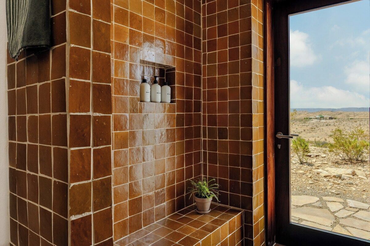 Un espace douche avec des carreaux de carrelage marron, une plante en pot et une étagère avec des bouteilles.