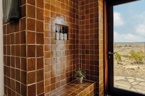 Zona de ducha con azulejos marrones, una planta en maceta y un estante con botellas.