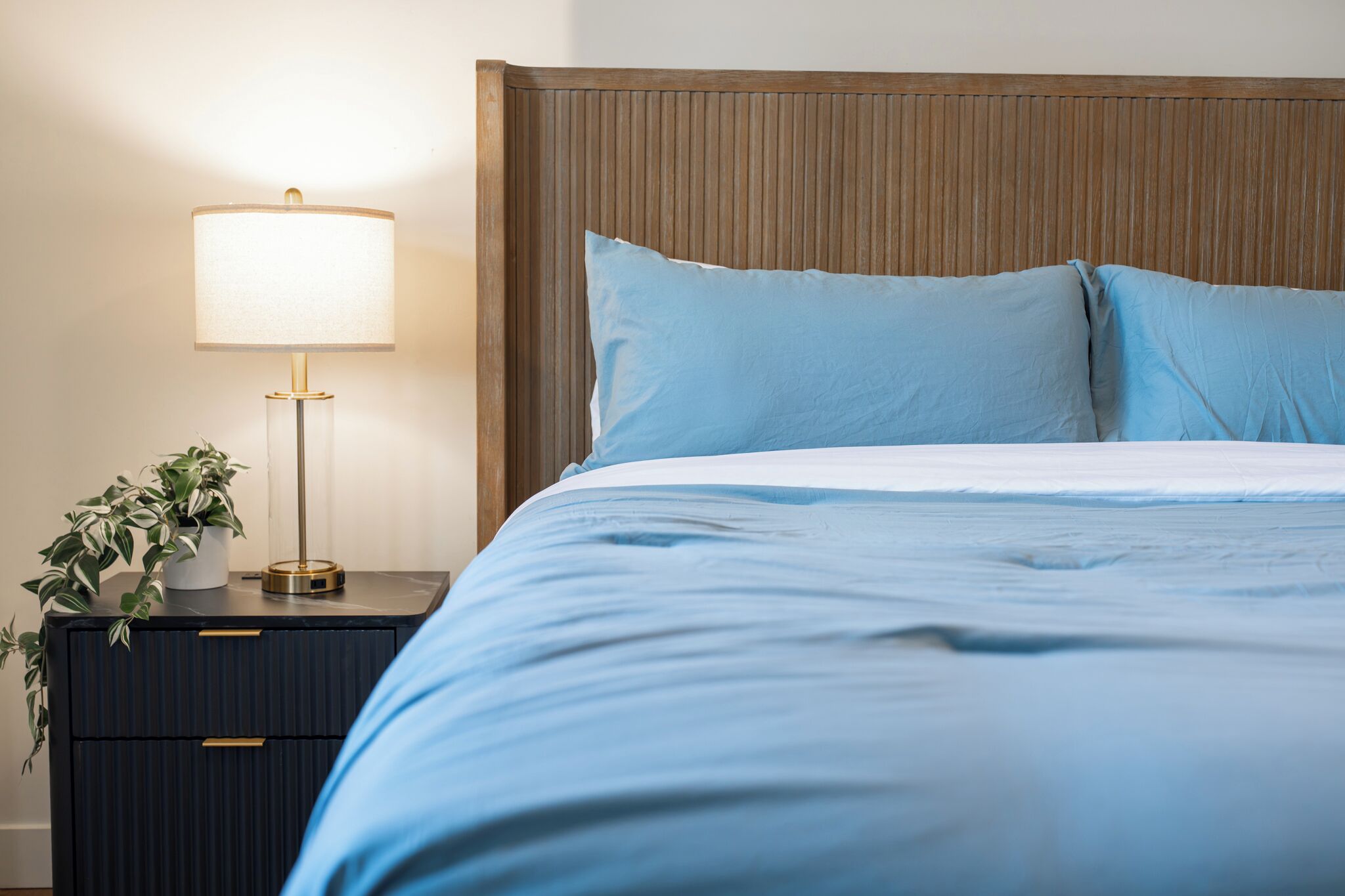 A bed with a headboard, a bedside table with a lamp, and a potted plant.