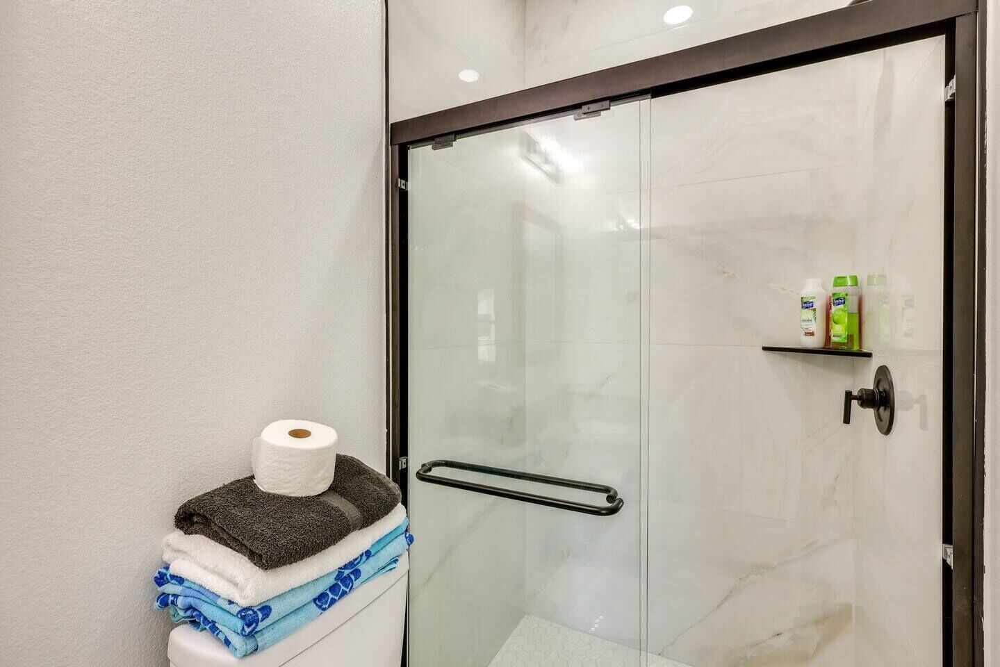 A glass-enclosed shower area with a towel rack, a toilet paper roll, and toiletries on a shelf.