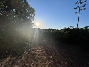 A sunlit path with trees and a clear sky. - Stintino - Anna Apartment - Residential Area (Stintino)