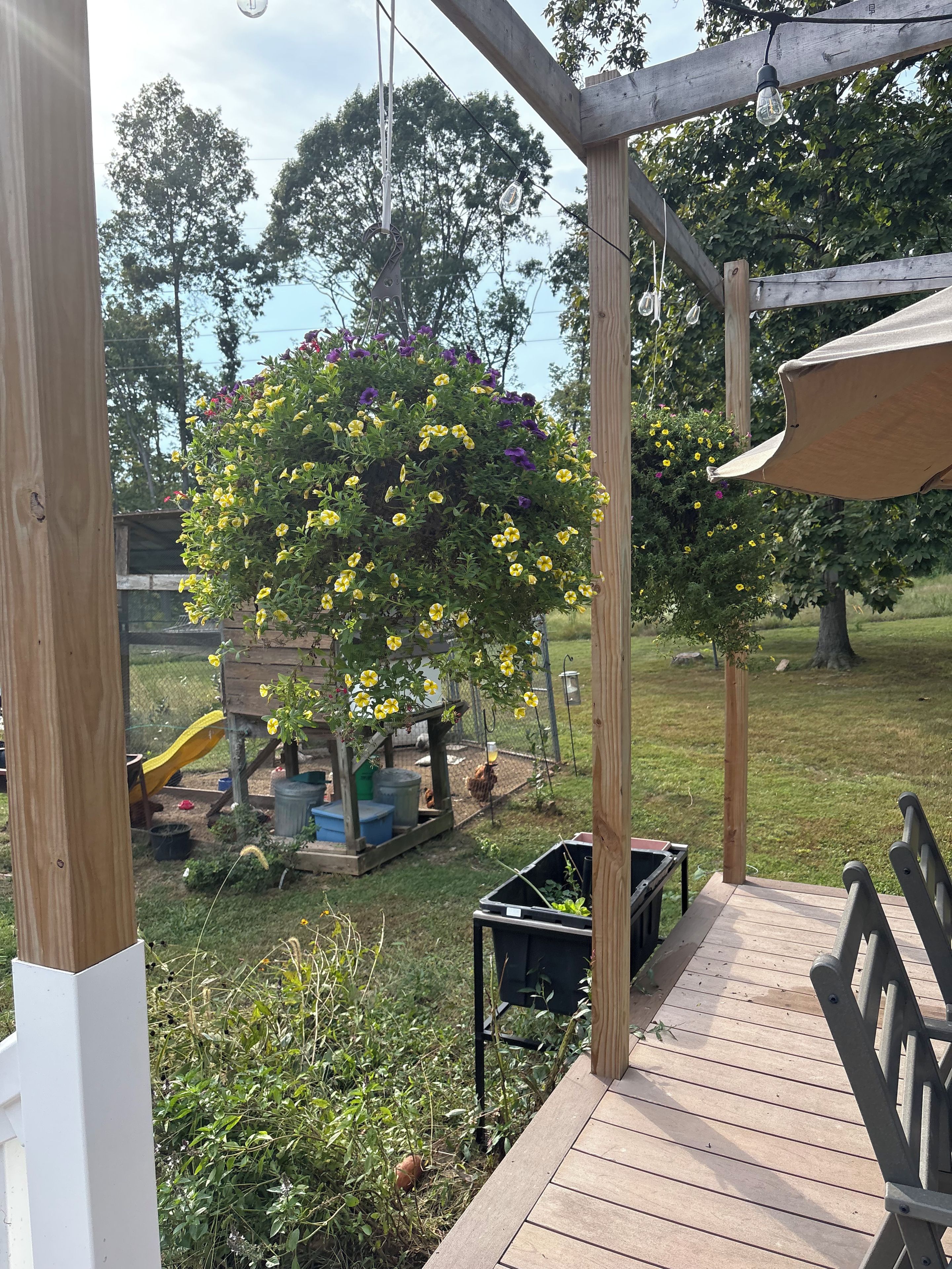 A wooden deck with a play area and a hanging flower pot.