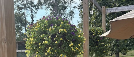 Een houten terras met een speelgedeelte en een bloempot aan een touw.