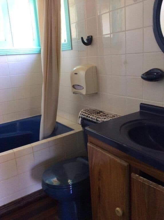 Shower, towels, toilet paper