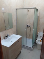 Un baño con ducha envuelta en vidrio, un lavamanos con espejo y un inodoro.