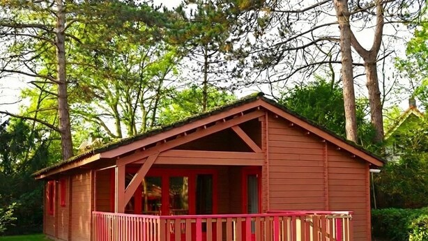 A wooden cabin with a red roof and a porch, surrounded by lush greenery.