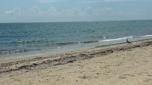 Ein Strand mit sandigem Ufer und ruhiger See.