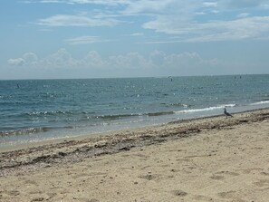 A beach with a sandy shore and calm sea. - 3 bedroom Beach House central to food and shops, steps away from the ocean. (Old Lyme)
