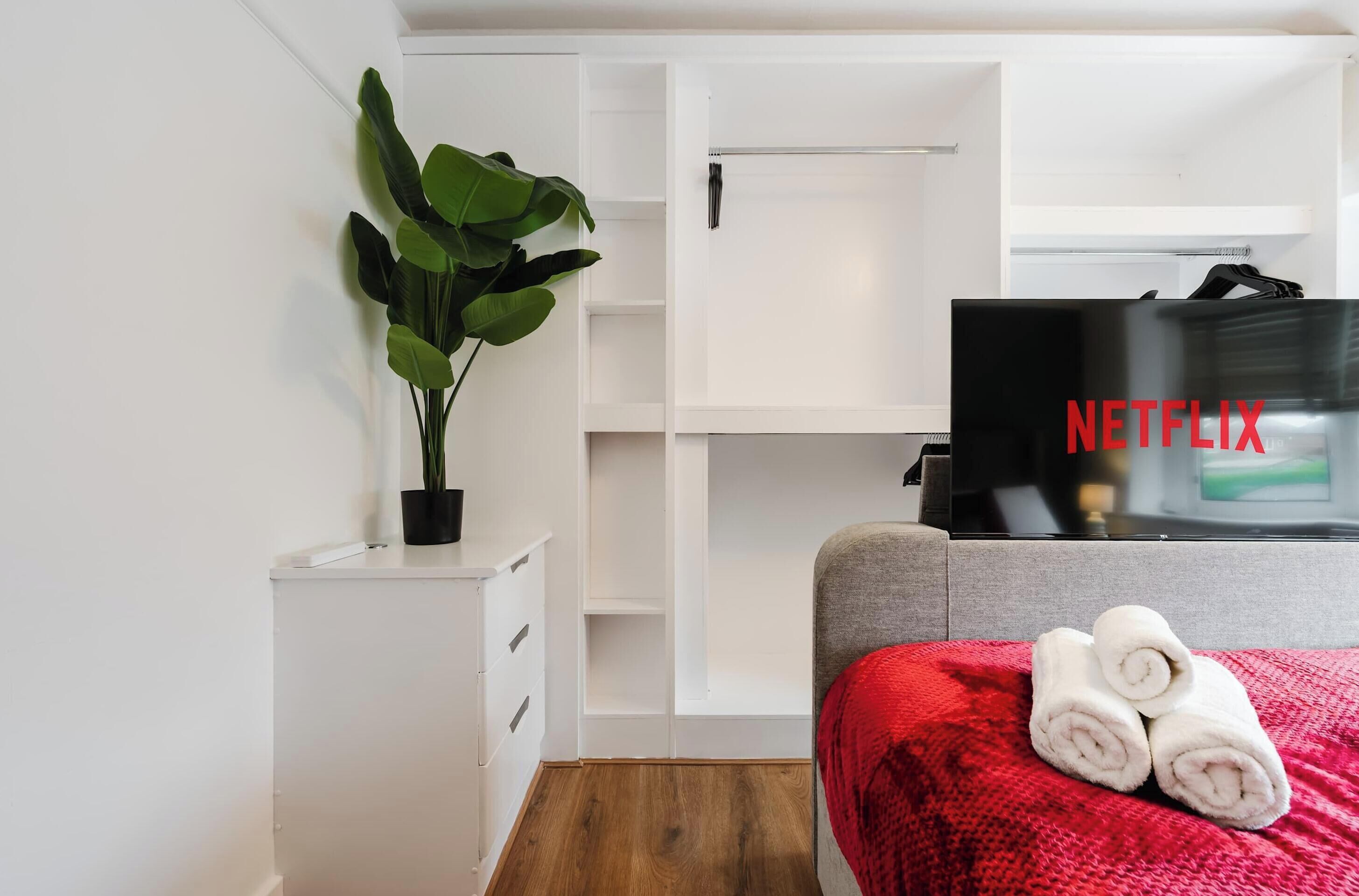 Una camera da letto con un letto, una televisione, una pianta e un armadio.