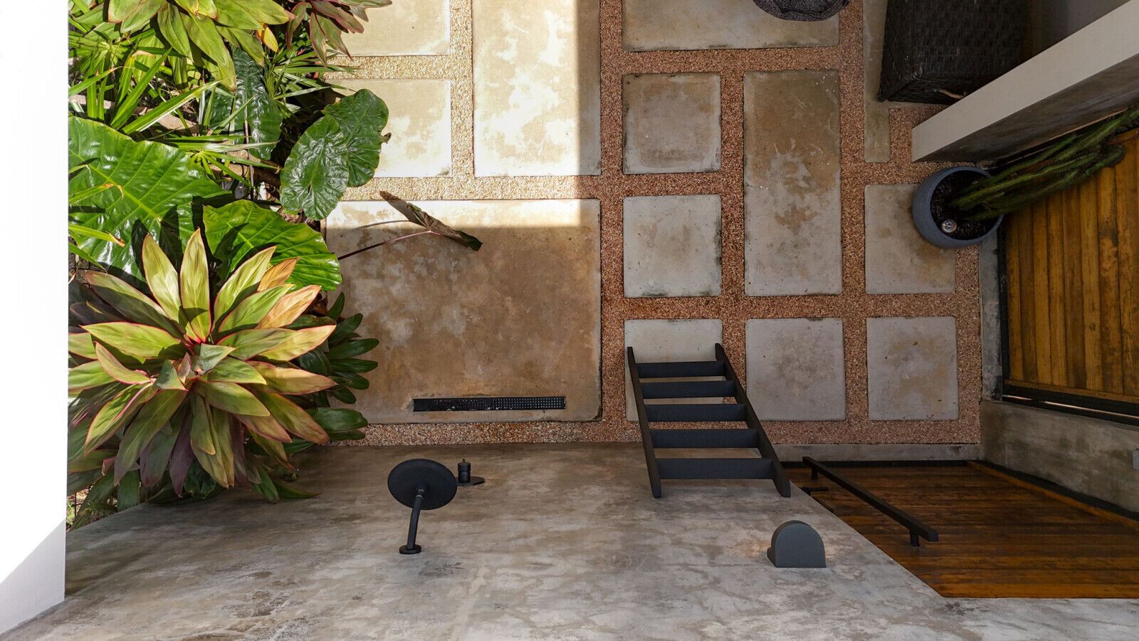 A modern interior with a concrete floor, a wooden staircase, and a large potted plant.