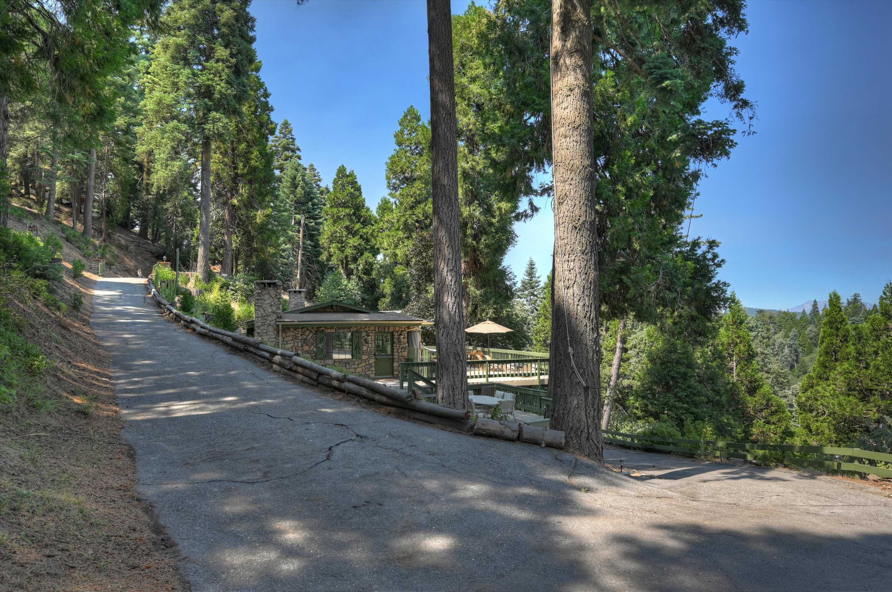 A paved path leading to a stone building with a green roof, surrounded by tall trees.