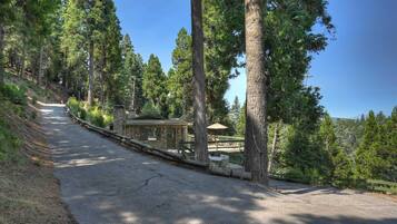 A paved path leading to a stone building with a green roof, surrounded by tall trees.