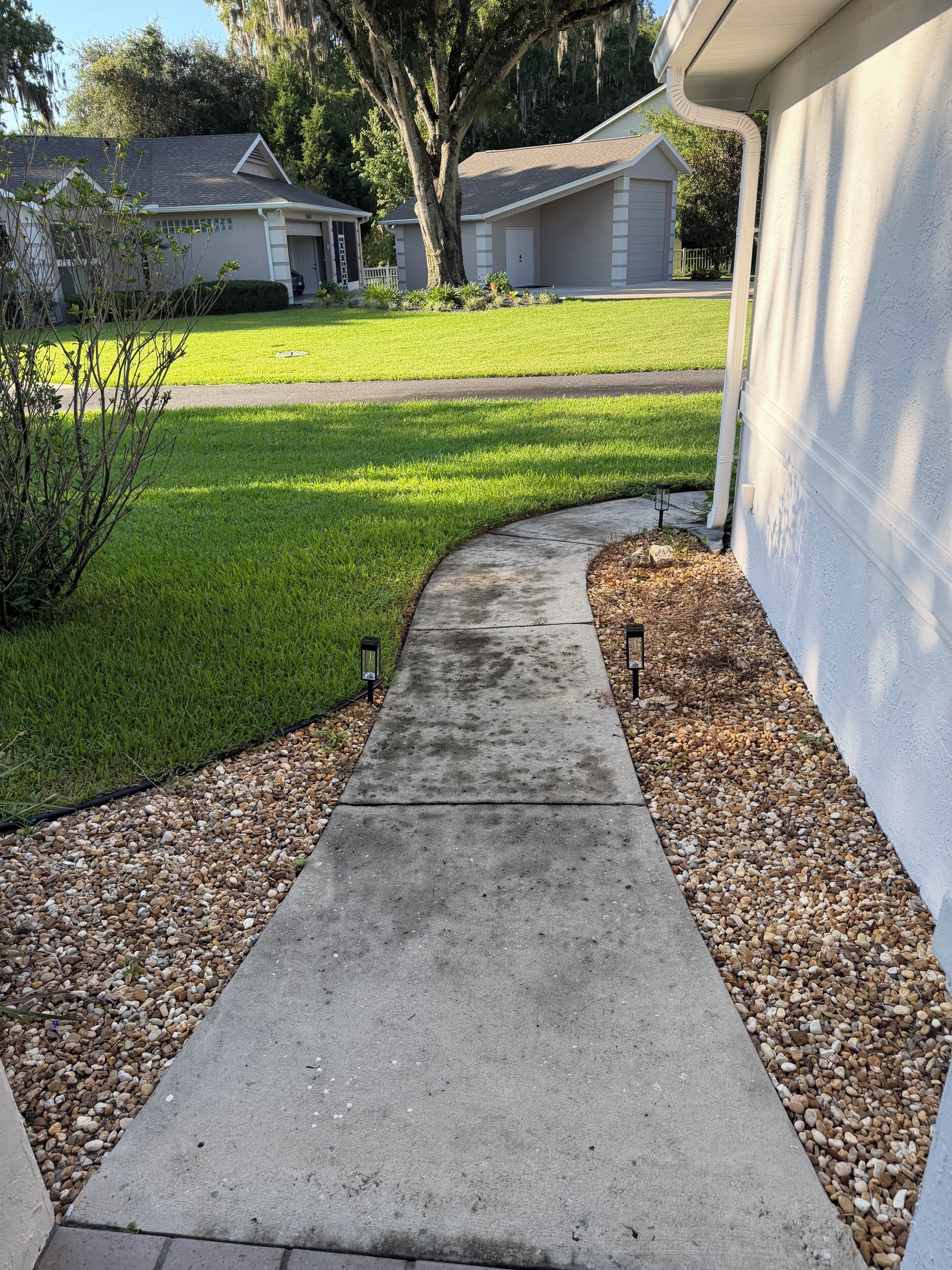 A concrete pathway leading to a house with a white exterior wall, a well-maintained lawn, and a large tree.