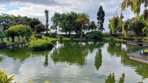 A tranquil park with a pond, surrounded by various trees and a small bridge. - Madeira Mar – Seaview – Top-Floor Apartment with Rooftop Pool-Guest Information (Funchal)