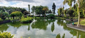 Ein ruhiger Park mit Teich, umgeben von verschiedenen Bäumen und einer kleinen Brücke.