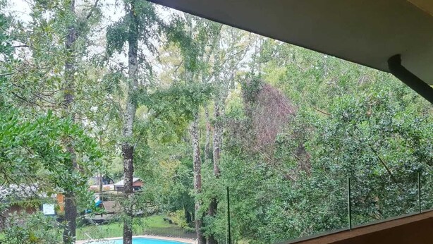 A view from a window overlooking a backyard with a swimming pool and trees. - Cozy 2-bedroom apartment in serene Pucon with AC (Pucon)