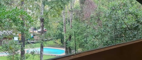 A view from a window overlooking a backyard with a swimming pool and trees.