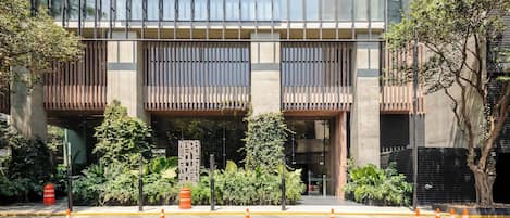 Un edificio moderno con grandes ventanales, un acceso cubierto y un área ajardinada con plantas y conos de tráfico naranjas.