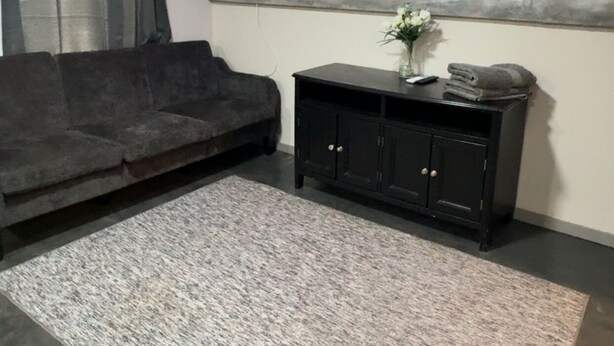 A living room with a dark sofa, a black cabinet, and a grey rug. - Cozy 1-bedroom apartment in marvelous Odessa with AC (Odessa)