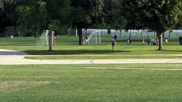 A grassy field with a soccer goal, trees, and a clear sky.