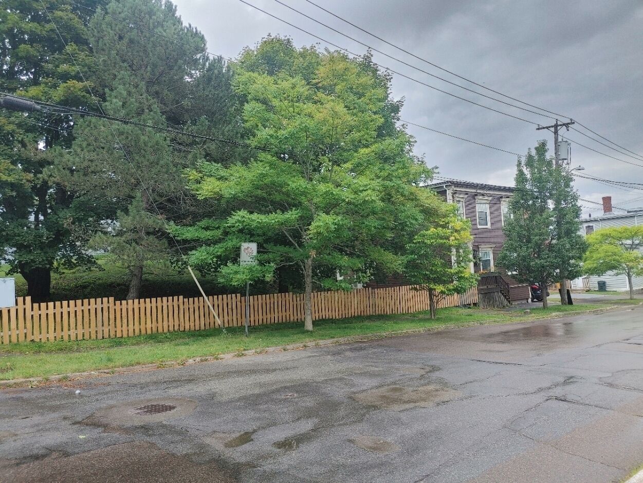 Una calle residencial con vallas de madera, árboles y casas.