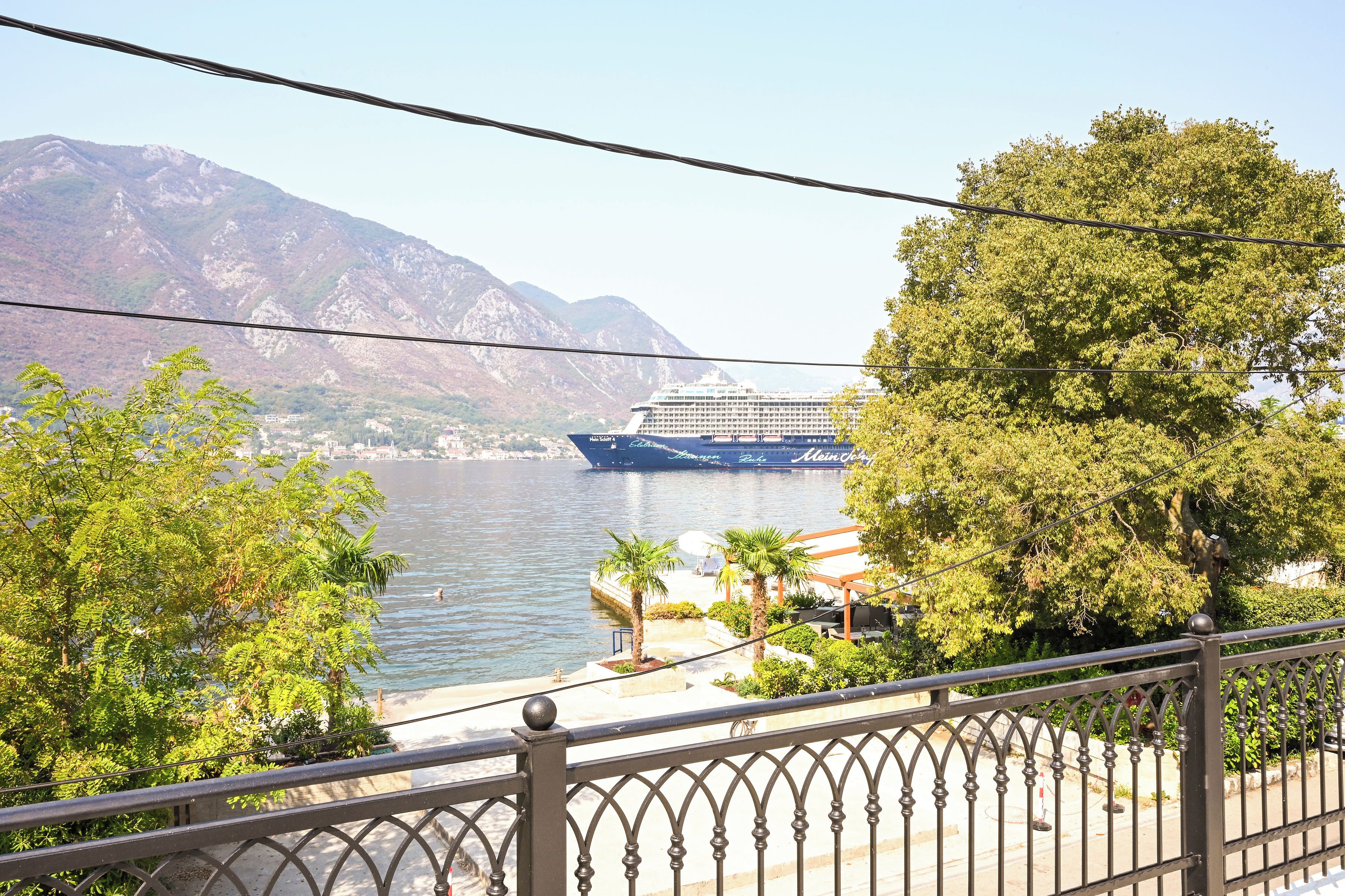 A balcony with a view of a river and mountains, a ship docked at the river's edge, and a palm tree.