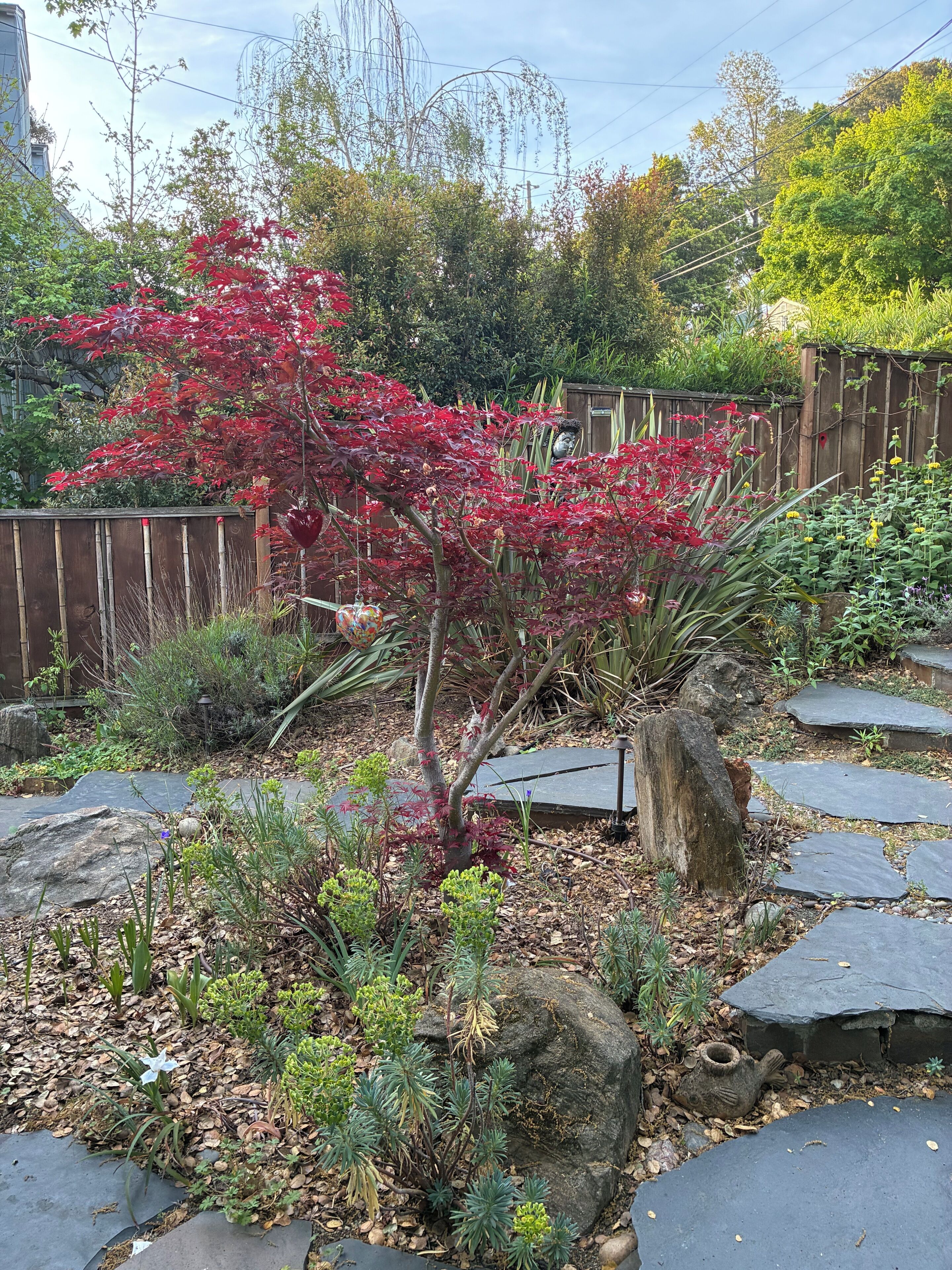 A garden with a variety of plants, a wooden fence, and a stone pathway.