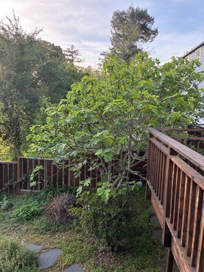 A wooden deck with a view of a garden area. - Urban Refuge in a welcoming East Bay  Neighborhood (Oakland)
