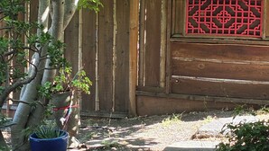 A wooden fence with a decorative panel, a tree with hanging ornaments, and a potted plant. - Urban Refuge in a welcoming East Bay  Neighborhood (Oakland)
