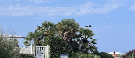 A pathway leading to a gated area with palm trees and a signboard.