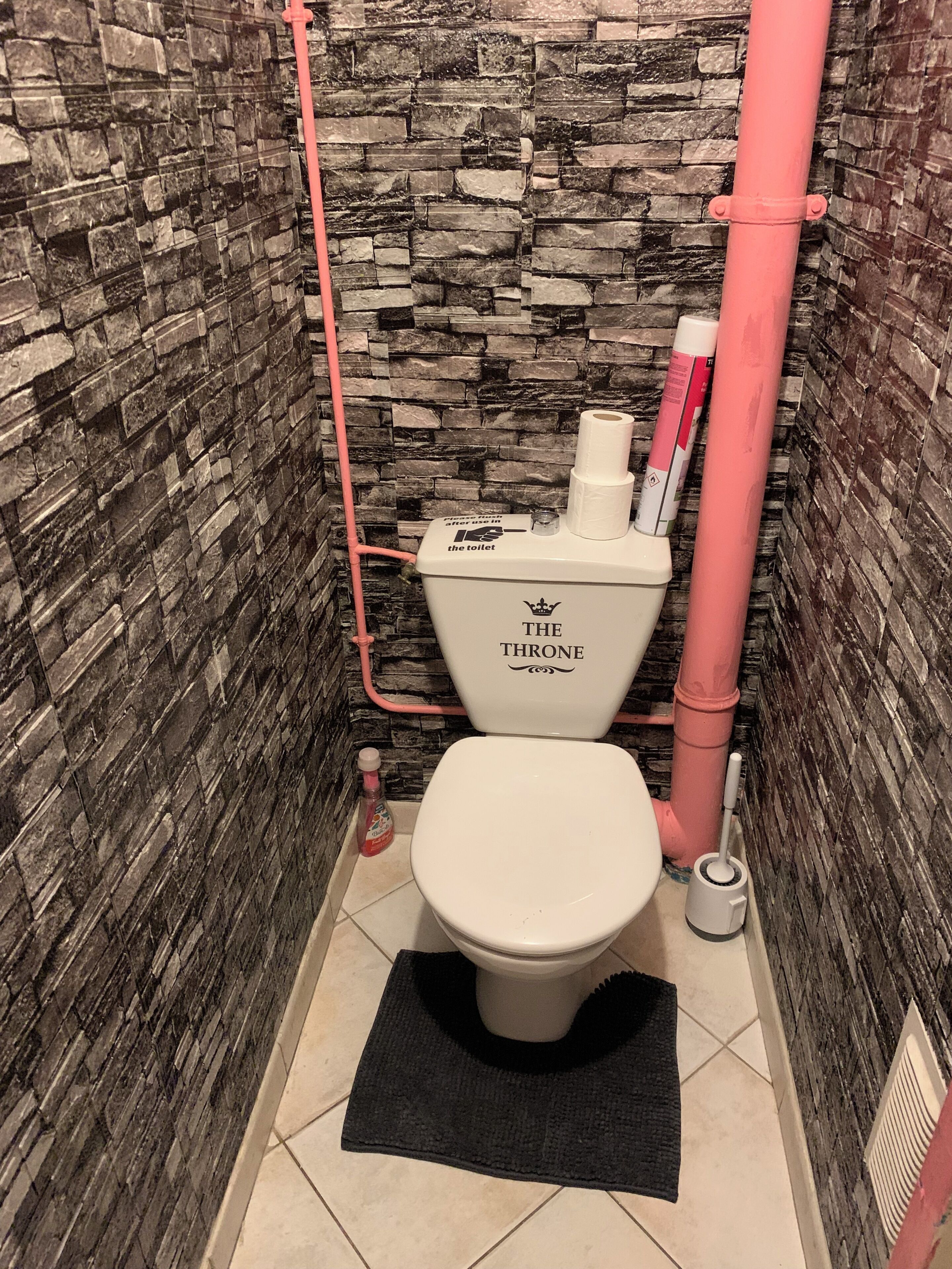 Une salle de bain avec un mur en pierre, des toilettes portant l’inscription « LE TRÔNE », un tuyau rose et un tapis noir.