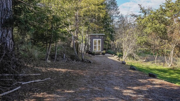 A gravel path leading to a small, dark-colored cabin with a door and windows, surrounded by dense trees and a grassy area. - Quiet and Private Tiny Home with Outdoor Bath in Hanmer Springs (Hanmer Springs)