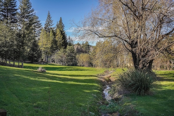 A grassy field with a small stream, surrounded by trees and a clear sky.