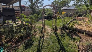 Ein Garten mit einer Pergola, einem Holzzaun und verschiedenen Pflanzen.