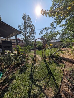 Ein Garten mit einer Pergola, einem Holzzaun und verschiedenen Pflanzen.
